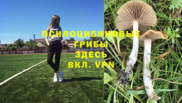 амф Алзамай