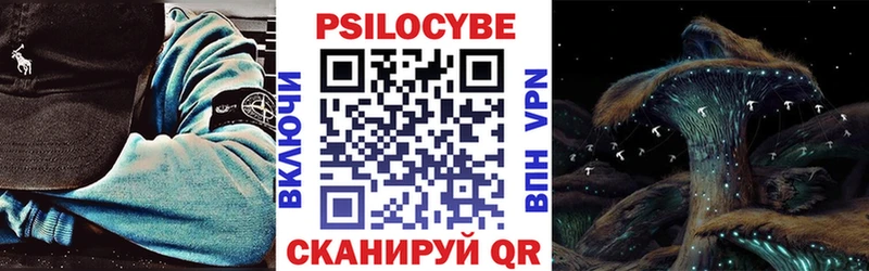 купить наркотики цена mega ссылка Псилоцибиновые грибы Cubensis Бирюч